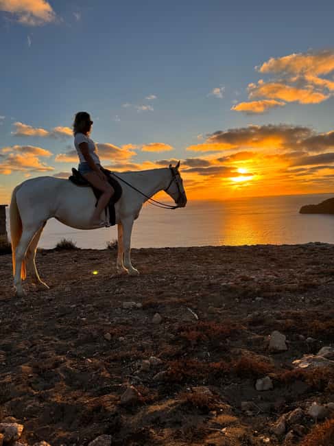 Porto Santo Island: Horse Riding - Who will enjoy this most