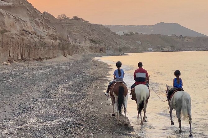 Premium Secluded Black Beach Horseback Riding Tour in Santorini - The horses and the owner’s personal approach