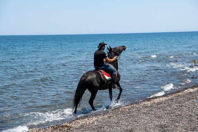 Premium Secluded Black Beach Horseback Riding Tour in Santorini - What $108.37 buys you