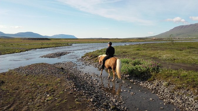 Private 3-Hour Horseback Riding Tour - Five useful facts before you book