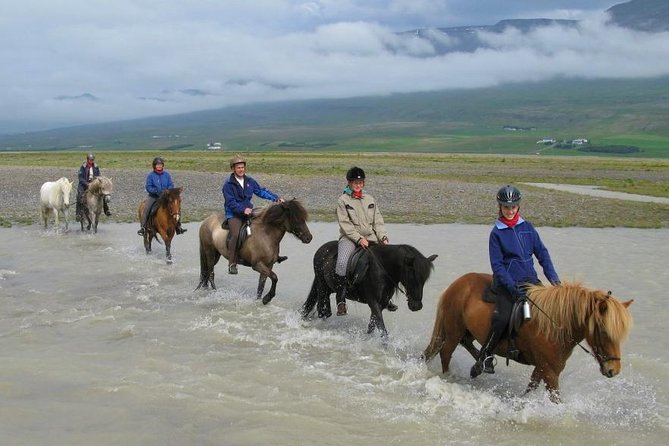 Private 3-Hour Horseback Riding Tour - What this Hestasport ride is really like