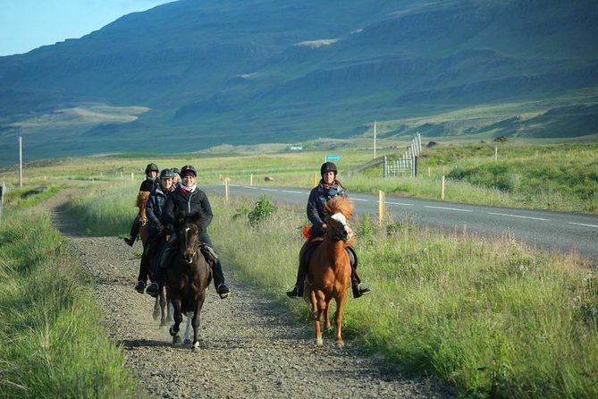 Private 3-Hour Horseback Riding Tour - What makes the Icelandic horses special
