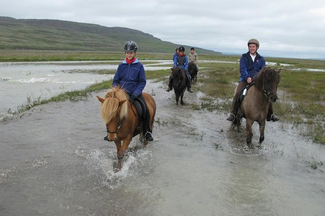 Private 3-Hour Horseback Riding Tour - Gear, weather, and comfort