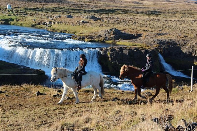 Private 3-Hour Horseback Riding Tour - Price and private-tour value