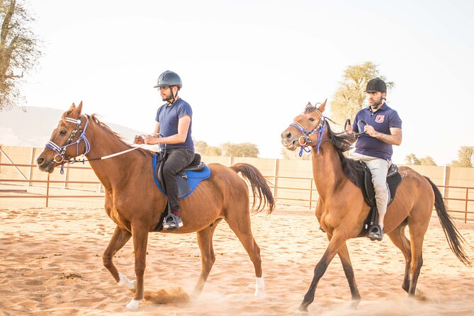 Private 4x4 Mleiha Desert Safari Horse Riding with Museum Visit - Key points at a glance