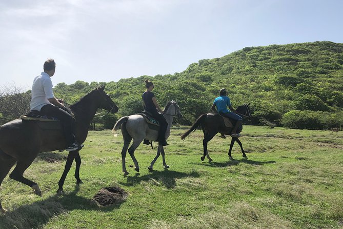 Private Advanced Horseback Beach Ride with Sandy Hoofs St. Lucia - Why this ride is different from a standard beach hack
