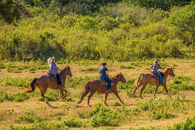 Private Advanced Trail Ride - Why the private format is worth considering