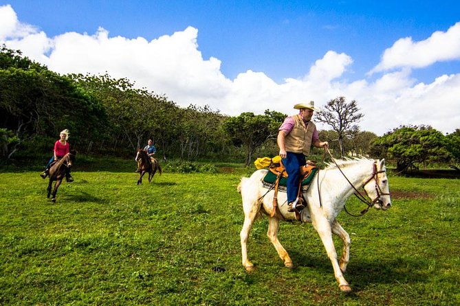 Private Advanced Trail Ride - The 90-minute itinerary, from saddle to countryside