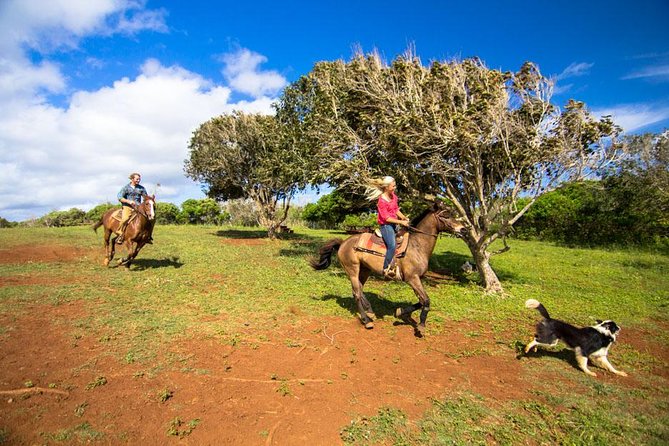 Private Advanced Trail Ride - What advanced really means here