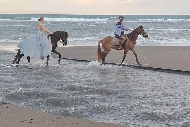 Private Bali Horse riding at saba beach - The horses, guides, and the important welfare question