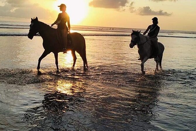 Private Bali Horse riding at saba beach - What makes the private format worth the price