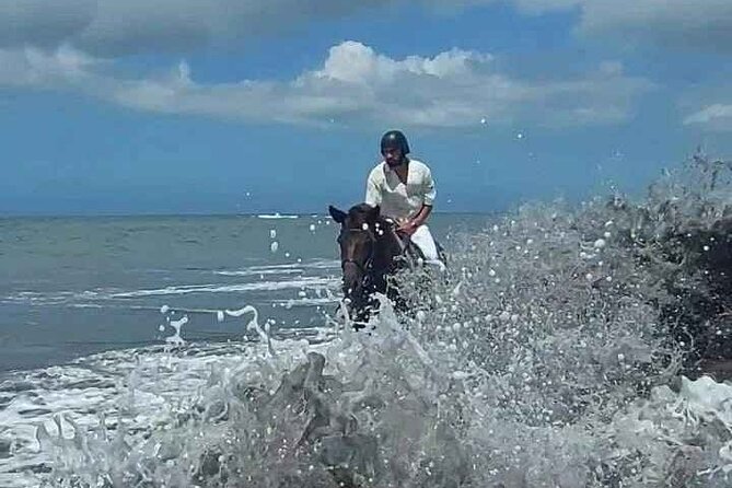 Private Bali Horse riding at saba beach - The strongest moments from past outings