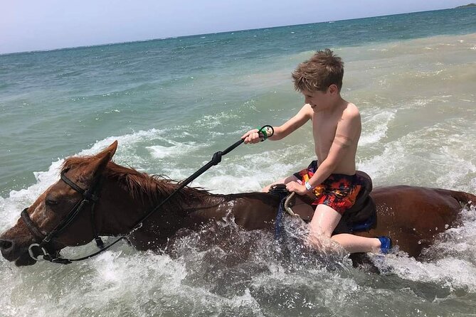 Private Bamboo Rafting and Horseback Riding from Ocho Rios - The drive to St. Ann’s Bay adds local context