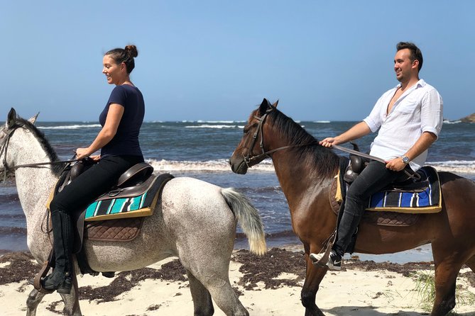 Private Beach Horseback Ride with Sandy Hoofs St. Lucia - Key points at a glance
