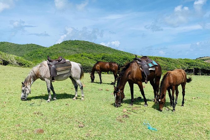 Private Beach Horseback Ride with Sandy Hoofs St. Lucia - Reaching two quiet beaches