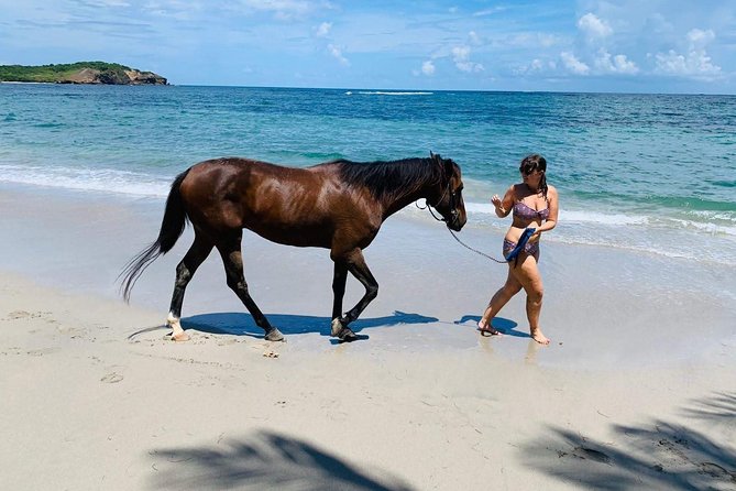 Private Beach Horseback Ride with Sandy Hoofs St. Lucia - How the guides shape the experience