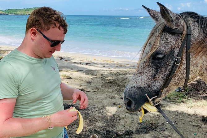Private Beach Horseback Ride with Sandy Hoofs St. Lucia - Choosing morning or afternoon