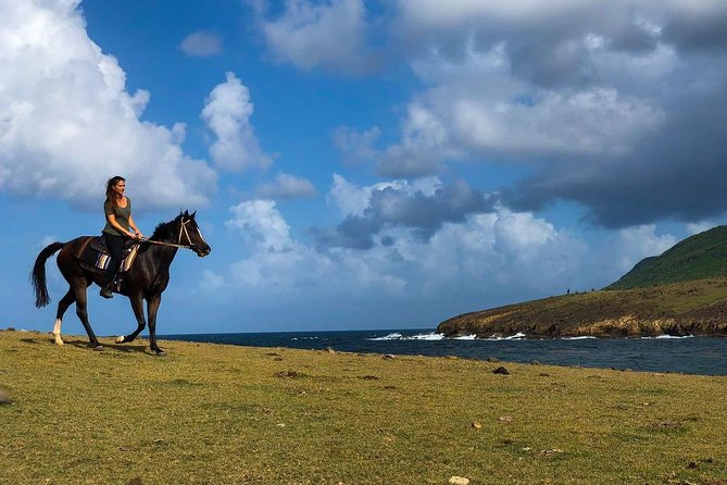 Private Beach Horseback Ride with Sandy Hoofs St. Lucia - Starting at Sandy Hoofs in Beausejour