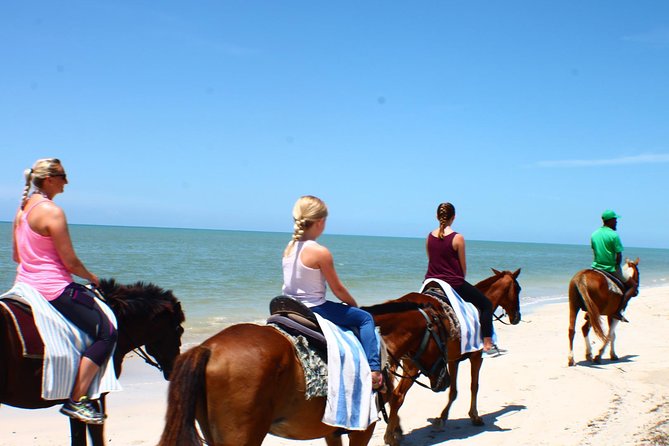 Private Beach Horseback Riding from Ocho Rios - Getting comfortable with your horse