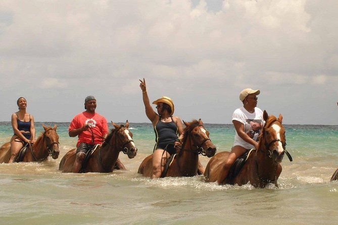Private Beach Horseback Riding from Ocho Rios - The horse swim near the end