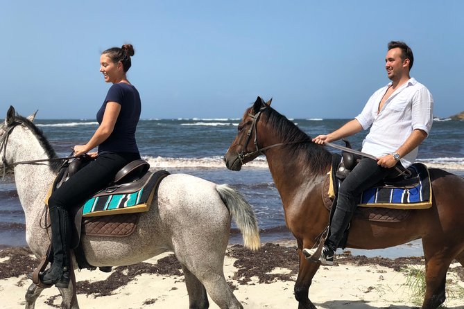 Private Beach Picnic Horseback Ride with Sandy Hoofs St. Lucia - Why this private ride feels different