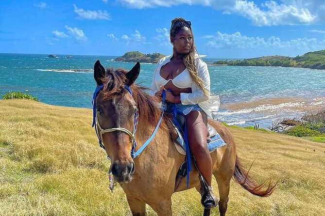 Private Beach Picnic Horseback Ride with Sandy Hoofs St. Lucia - Anse La Voute beach, picnic, and Atlantic water