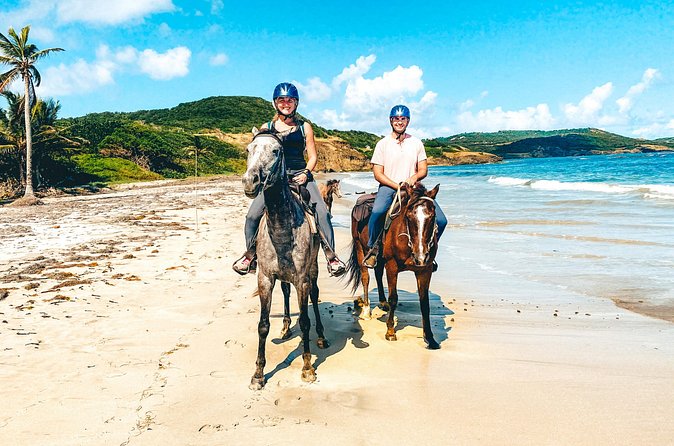 Private Beach Picnic Horseback Ride with Sandy Hoofs St. Lucia - What the horses and guides add