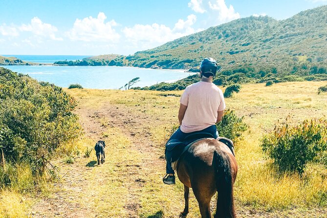 Private Beach Picnic Horseback Ride with Sandy Hoofs St. Lucia - Is $129 per person good value?