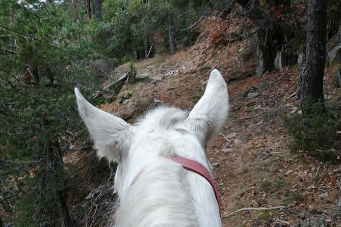 Private Cascades Waterfall Horseback Riding Tour from Smolyan - Meeting the Horses in Sredok