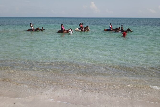 Private & Customize Tour to Martha Brae Rafting and Horseback Riding N Swim - The Drive Between Trelawny and St. Ann’s Bay