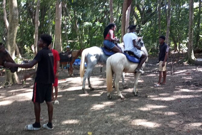 Private & Customize Tour to Martha Brae Rafting and Horseback Riding N Swim - What the Private Format Really Gives You