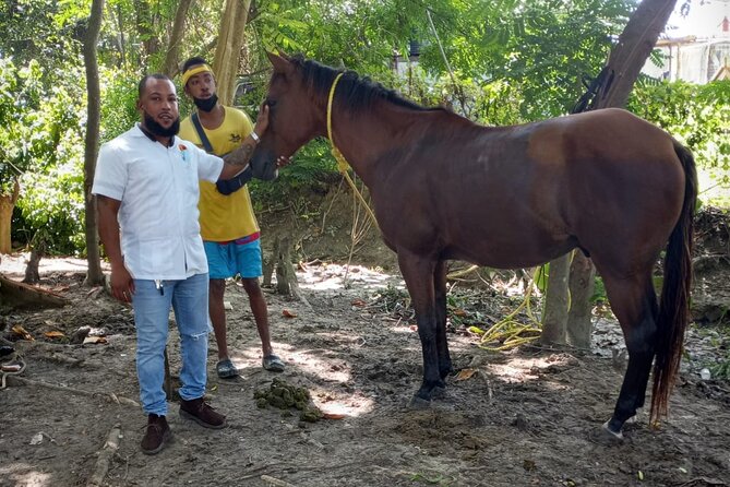 Private & Customize Tour to Martha Brae Rafting and Horseback Riding N Swim - Booking, Cancellation, and Practical Planning