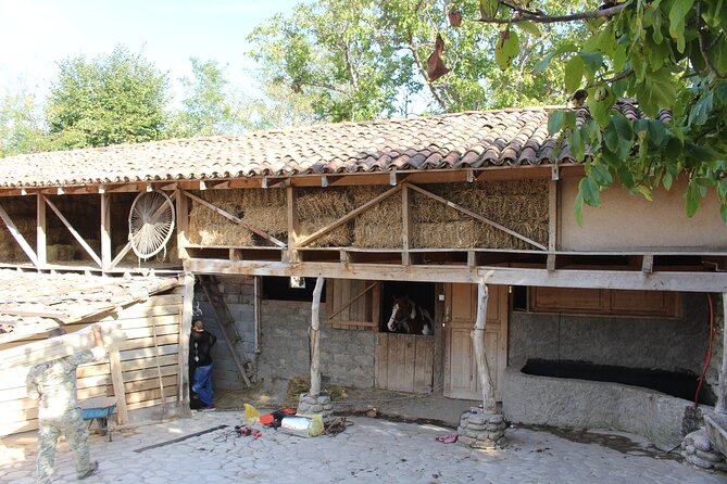 Private day horse riding trip to Sighnaghi with lunch and wine/beer. - What the $180 price really buys