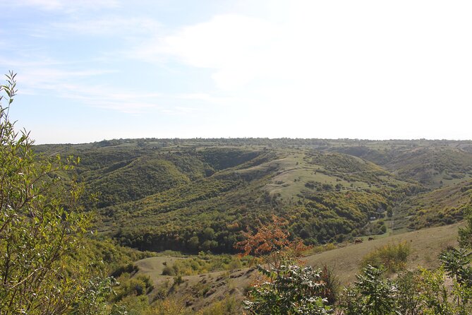 Private day horse riding trip to Sighnaghi with lunch and wine/beer. - Who will enjoy this private ride