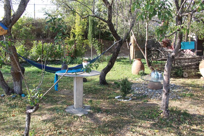 Private day horse riding trip to Sighnaghi with lunch and wine/beer. - Practical details that affect your day