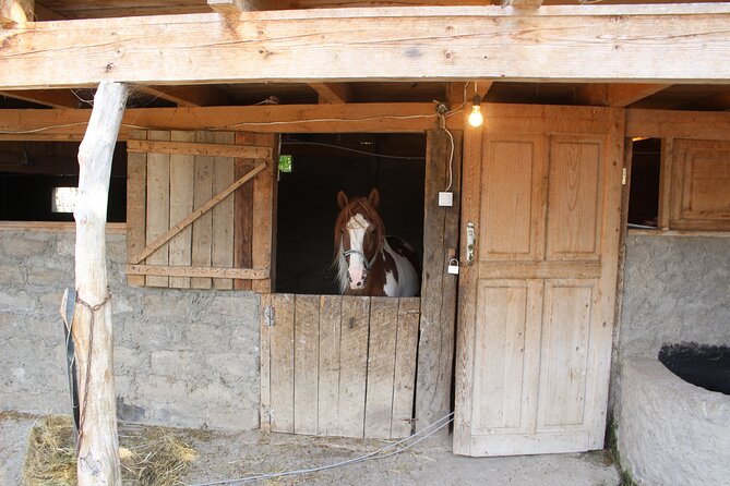 Private day horse riding trip to Sighnaghi with lunch and wine/beer. - Should you book this horseback day trip?