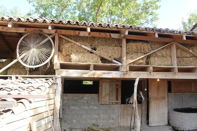 Private day horse riding trip to Sighnaghi with lunch and wine/beer. - Three hours at Living Roots Horse Ranch