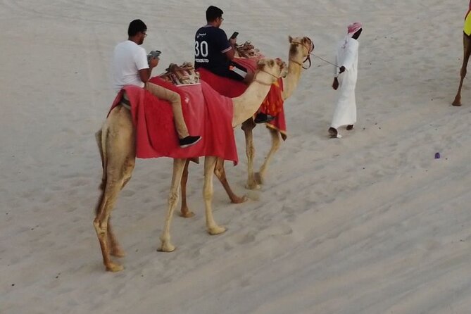 Private-Doha Horse Ride/Camel Ride/Quad Bike All Inclusive Tour - Key points to know before you book