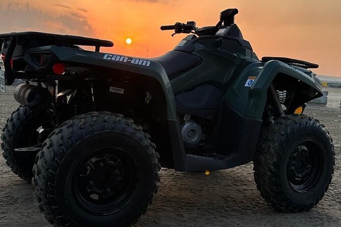 Private-Doha Horse Ride/Camel Ride/Quad Bike All Inclusive Tour - From Doha to the Mesaieed dunes