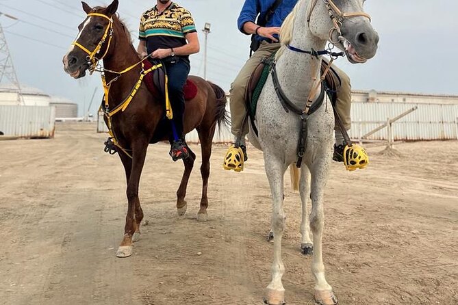 Private-Doha Horse Ride/Camel Ride/Quad Bike All Inclusive Tour - Dune bashing with an off-road driver