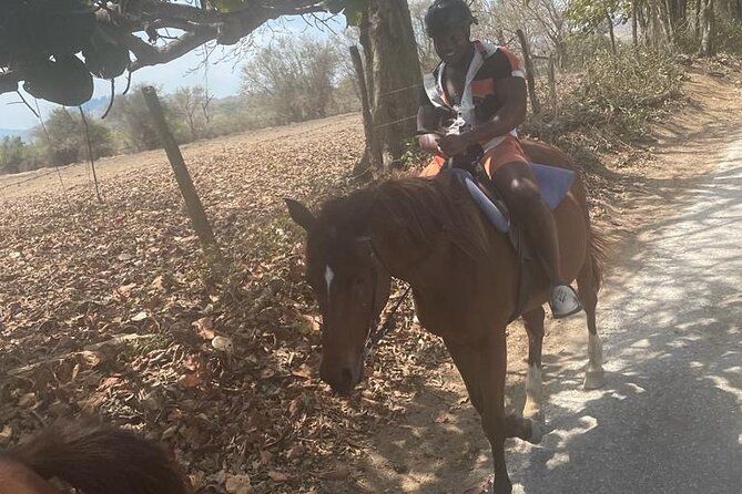 Private Dunns River Falls and Horse Back Riding - Two Jamaican highlights in four hours
