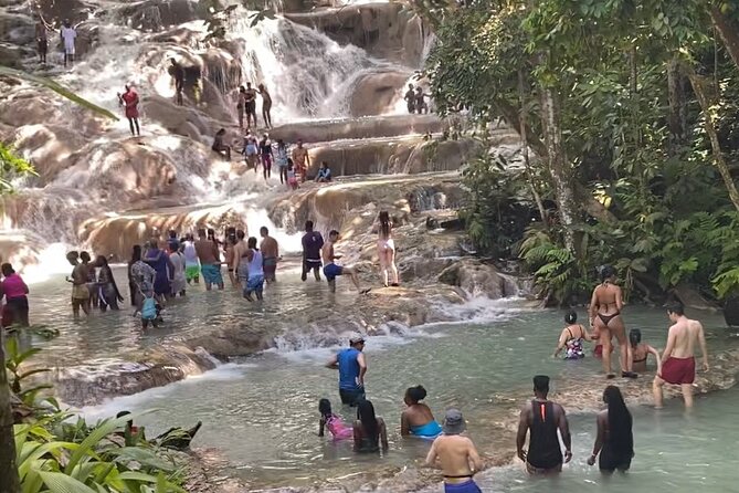 Private Dunns River Falls and Horse Back Riding - What the private format changes