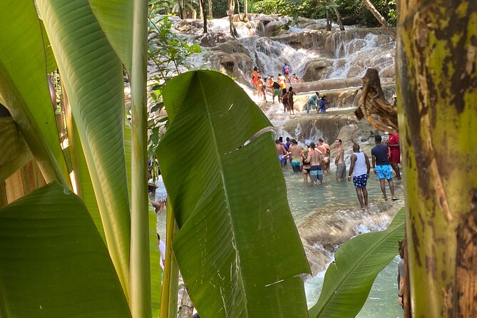 Private Dunns River Falls and Horse Back Riding - Service details that can shape your day