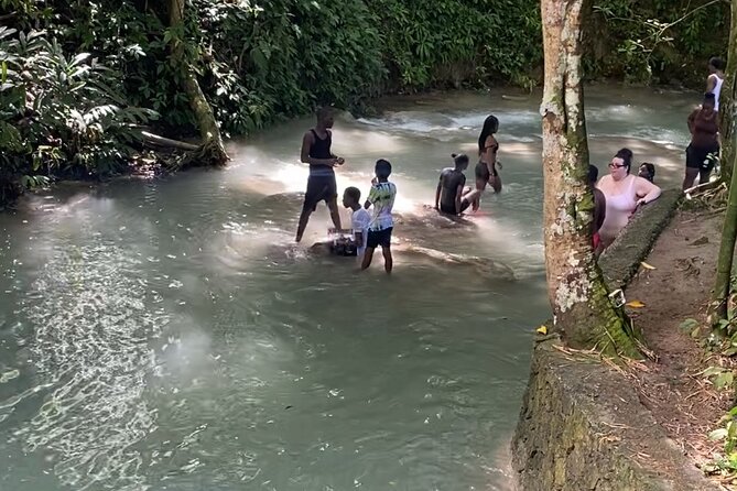 Private Dunns River Falls and Horse Back Riding - Dunn’s River Falls with less waiting