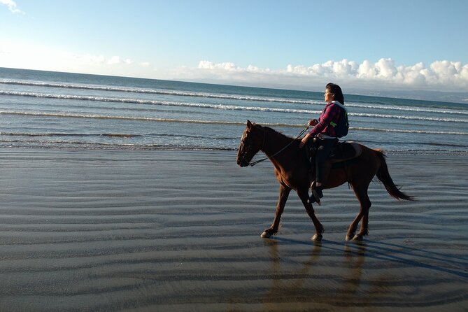 Private excursion to the bufadora and horseback riding on the beach - A flexible afternoon in a private van