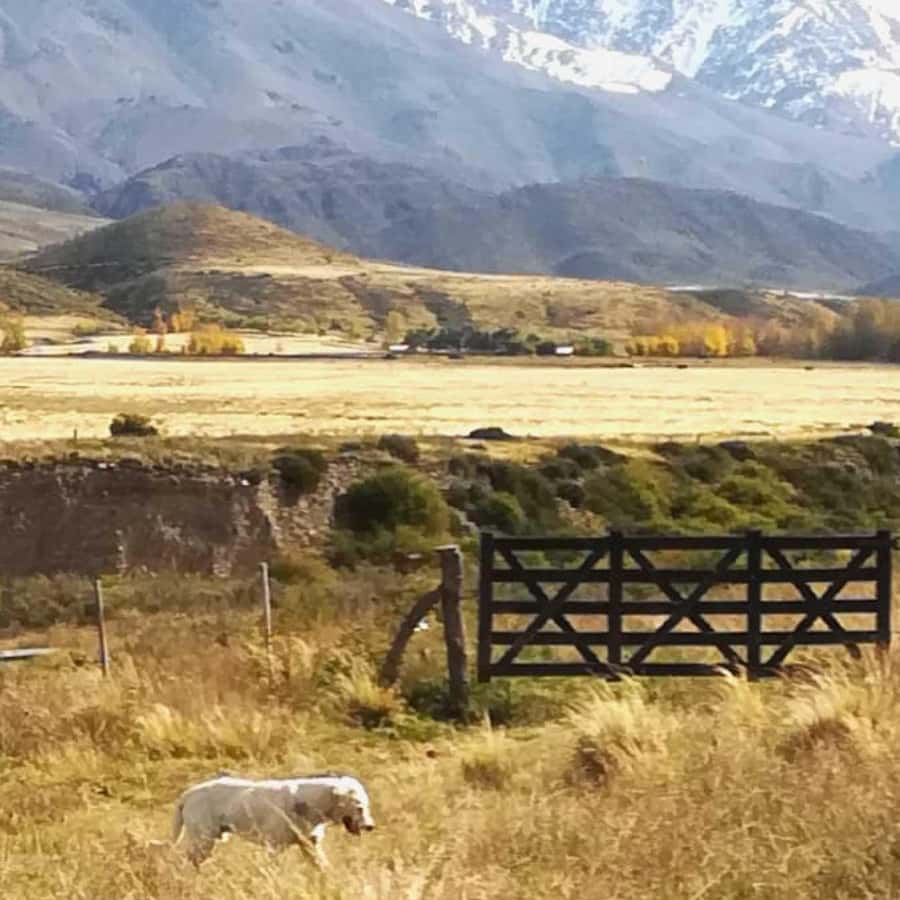 Private Experience: Horseback Riding and BBQ in the Mountain - Estancia La Carrera - Should you book Estancia El Pico?