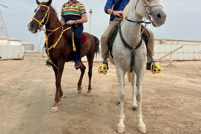 Private Horse and Camel Riding Experience in Doha - Desert Views, Photos, and the Human Touch