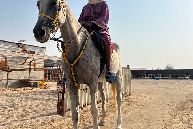 Private Horse and Camel Riding Experience in Doha - Who Will Like This Experience Most?