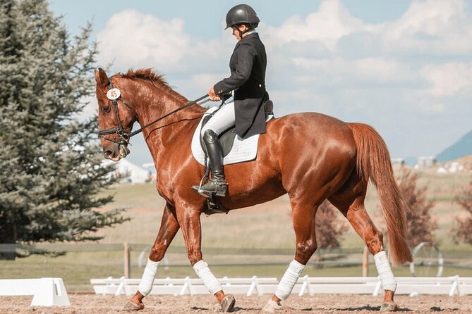 Private Horse Ridding tour - Key points before you book