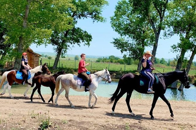 Private Horse Ridding tour - What the Lilo Mall meeting point means